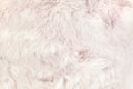 Texture of shaggy fur background. Detail of soft hairy skin material