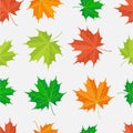 Texture sheet sets the seasons, colorful leaves, time of the yea