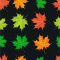 Texture sheet sets the seasons, colorful leaves, time of the yea