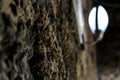 Texture. shell stone background with a lantern in the background. natural stone