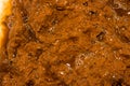 Texture of shit.Background of excrement. Royalty Free Stock Photo