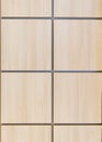 Texture simulated wood panels, front view