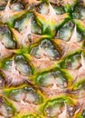 Texture of skin pineapple Royalty Free Stock Photo