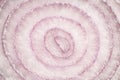 Texture of a Sliced Red Onion Royalty Free Stock Photo