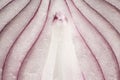 Texture of a Sliced Red Onion Royalty Free Stock Photo