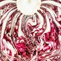 Texture of sliced red radicchio cabbagehead