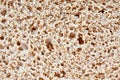 Wholemeal bread texture Royalty Free Stock Photo