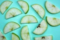 Texture slices of green apple slices with bones