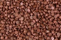 Texture of small chunks of sweetened chocolate chips background