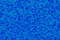 The texture with small details, blue. Art image, abstraction