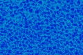 The texture with small details, blue. Art image, abstraction Royalty Free Stock Photo