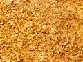 Texture of small sawdust in yellow color. Artistic object. Designer material. Royalty Free Stock Photo