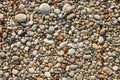 Texture of small sea pebbles and stones Royalty Free Stock Photo