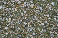 Texture of small stone gravel Royalty Free Stock Photo