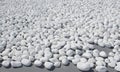 Texture of small, white beach stones on grey