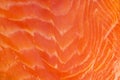 Texture of smoked trout fillets. Macro shooting