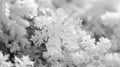 Texture of snowflakes clumping together resembling a fluffy blanket over the icy ground Royalty Free Stock Photo