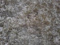 Texture of snowy grass and ground frost the first snow Royalty Free Stock Photo