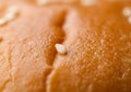 The texture is soft and doughy, characteristic of a freshly baked bun Royalty Free Stock Photo