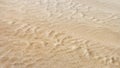 Texture of soft wet sand on tropical beach summer Royalty Free Stock Photo