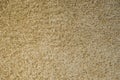 Texture of soft woolen carpet as background. Detailed abstract fabric texture.