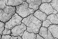 Texture soil Cracked arid pattern for background.