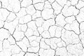 Texture soil dry crack background pattern of drought lack of water of nature white black . Royalty Free Stock Photo