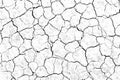 Texture soil dry crack background pattern of drought lack of water of nature white black . Royalty Free Stock Photo