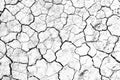Texture soil dry crack background pattern of drought lack of water . Royalty Free Stock Photo