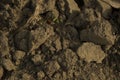 texture soil dry stock images