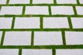 Texture of square concrete brick pathway on a green grass