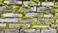 Texture of stone and brick wall with moss, fern, wild plants and other weed Royalty Free Stock Photo