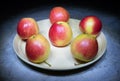 Still life with apples. Ripe apples on a round plate. Red and yellow juicy apples.