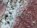 Texture of stone with green patches of moss