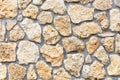 Texture of a stone wall extruded from a large cobblestone of a shell rock, closeup