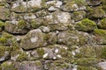 Texture of a stone wall with moss. Old castle stone wall background. Wall made of wild stone. Natural background Royalty Free Stock Photo