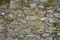 Texture of a stone wall. Old castle stone wall background. Wall made of wild stone. Natural background Royalty Free Stock Photo