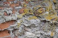 The texture of the stone wall.