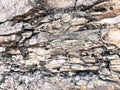 The texture of the stone wall of sharp cracked convex rough natural gray puff of old ancient stone bricks in the rock. Royalty Free Stock Photo