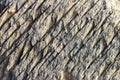 Texture of the stone with white veins. presumably shale rock. Royalty Free Stock Photo