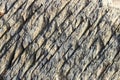 Texture of the stone with white veins. presumably shale rock. Royalty Free Stock Photo