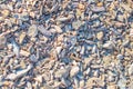 texture of stones on the beach near the river Royalty Free Stock Photo