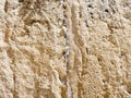 The Western Wall, (Wailing Wall) Jerusalem, Israel Royalty Free Stock Photo