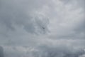 Texture of a stormy gray-blue sky with a flying bird. the concept of dramatic sky