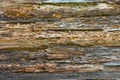 Texture of stratified and rotten wood, abstract background. Old Weathered Rotten Cracked Knotted Coarse Wood Vignetted Grunge Royalty Free Stock Photo