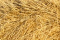 Texture. Straw from wheat beveled Royalty Free Stock Photo