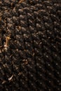 Texture of sunflower seeds. Black sunflower seeds, organic background. Royalty Free Stock Photo