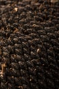 Texture of sunflower seeds. Black sunflower seeds, organic background. Royalty Free Stock Photo