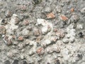 The texture of the surface of the concrete wall with a print Royalty Free Stock Photo