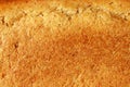Texture of a surface of a crust of rye fresh bread orange colors. Template Royalty Free Stock Photo